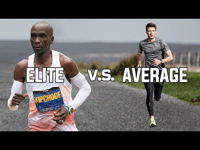 Key Factors That Distinguish Elite Runners from Average Runners