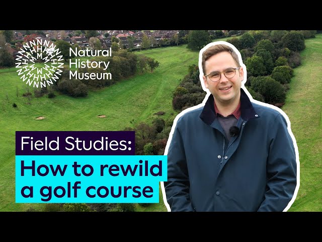 How to rewild a golf course | Field Studies