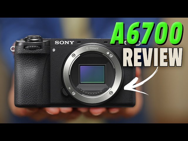 Sony A6700 Review for Wildlife Photography
