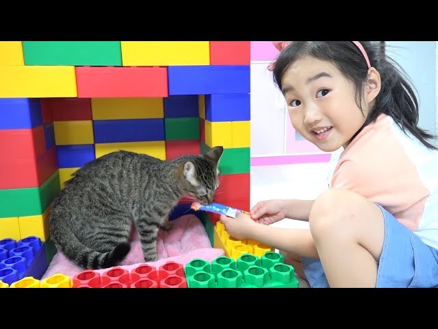 Boram Color Brick Block Cat House