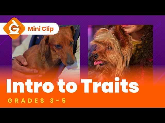 Inherited Traits Video Lesson for Kids | Grades 3-5 Science | Mini Clip
