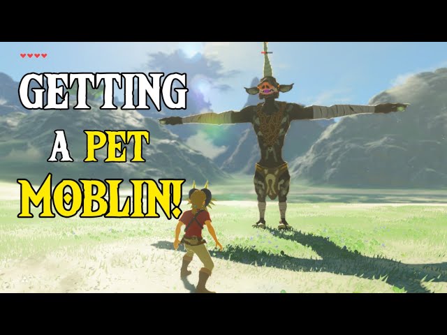Link Gets a Pet MOBLIN! | Zelda: Breath of the Wild