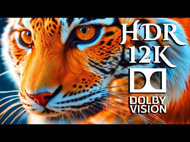 12K HDR OLED Demo / Nature Timelapse