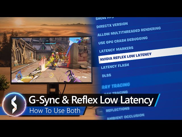G-Sync & Reflex Low Latency - How To Use Both
