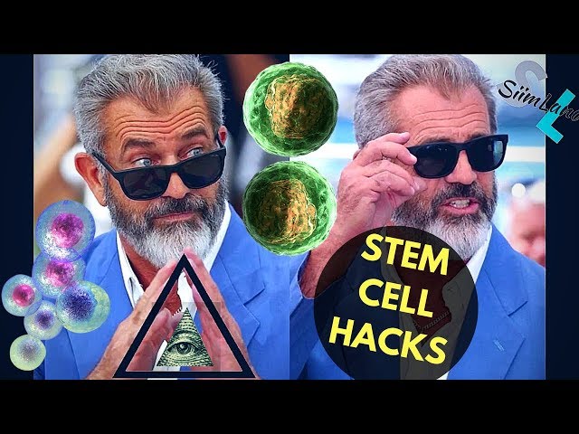 How to Boost Stem Cell Growth Naturally - MEL GIBSON STEM CELL HACKS