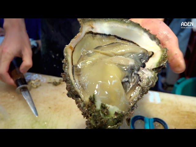 Japanese Street Food: Giant Oysters