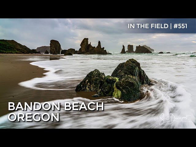 Bandon Beach, Oregon - In The Field #551