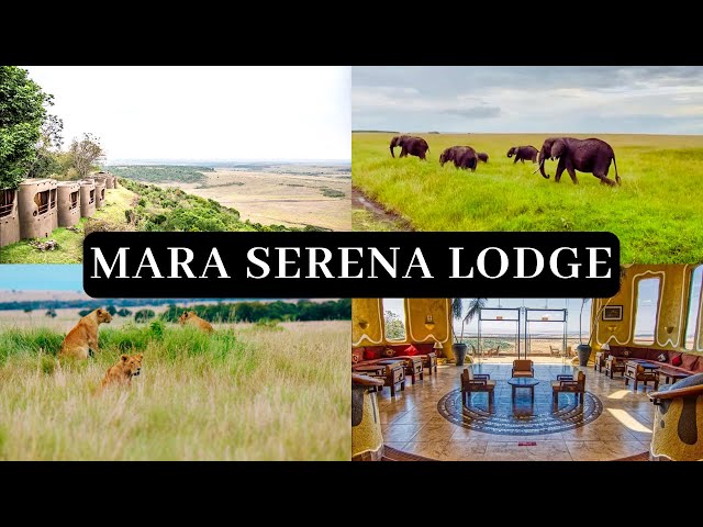 Absolutely Stunning!! Mara Serena Lodge [Mara Triangle] #AfricanSafari #maraserenalodge