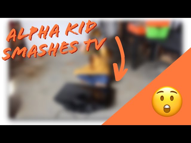 Generation Alpha Kid Smashes TV