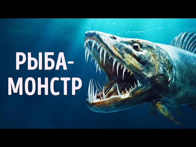Эта рыба питается крокодилами + 14 уникальных фактов о животных