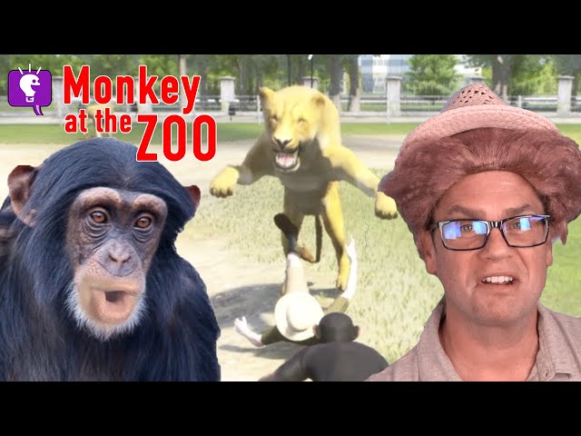 Monkey at the Zoo on HobbyGaming