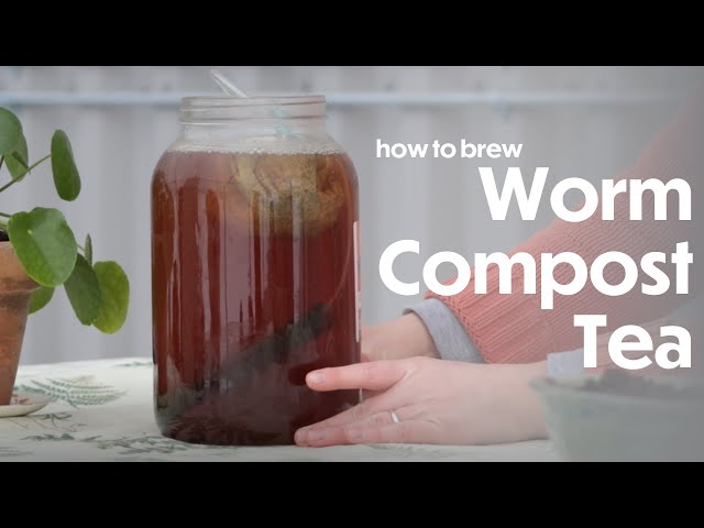 Vermicomposting: Worm Tea Recipe and Brew System | Farm Your Yard