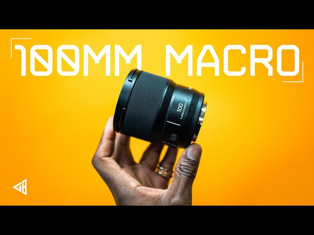 Panasonic Lumix S 100mm f2.8 Macro Review - You Need It!