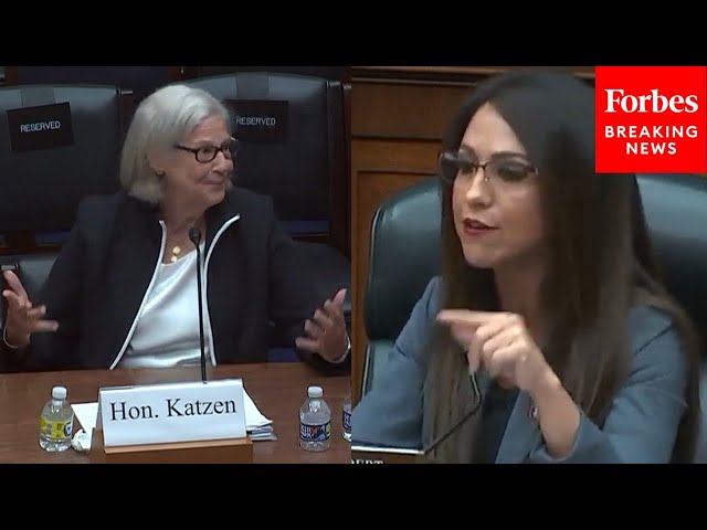 'You Interrupted Me!': Lauren Boebert Clashes With Witness During Hearing On Regulations