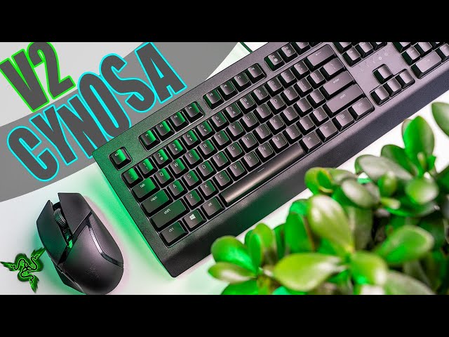 Razer Cynosa V2 Gaming Keyboard Review