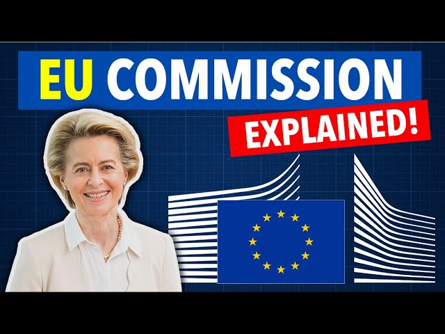 What is the European Commission?