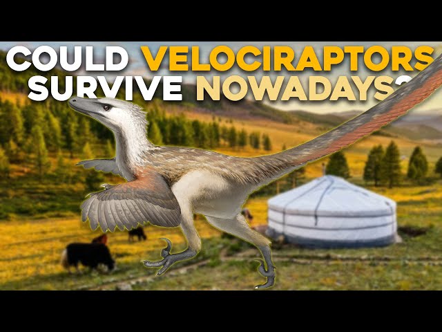 Could Velociraptors Thrive in Today's Ecosystem?