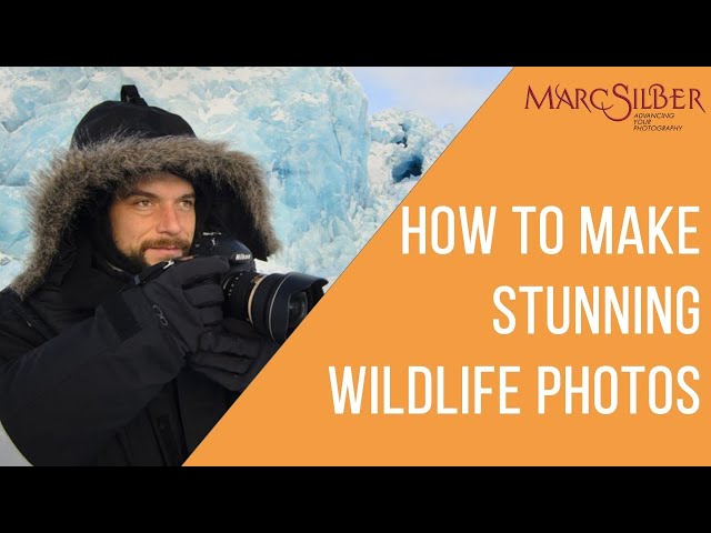 Tips for Wildlife Photography from Nature and Wildlife Photographer Florian Schulz #shorts