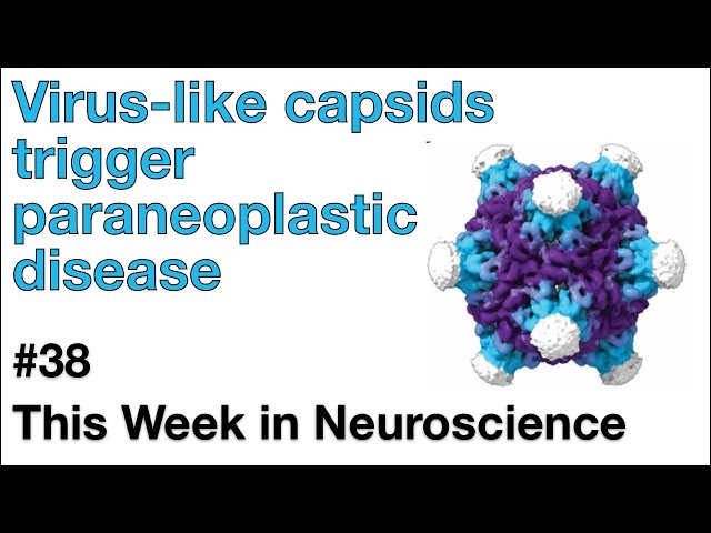 TWiN 39: Virus-like capsids trigger paraneoplastic disease