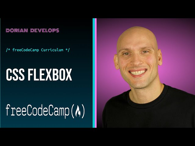 freeCodeCamp CSS Flexbox [Live] // Responsive Web Design Certification 2020