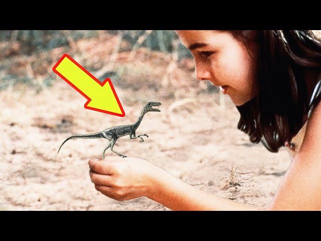 THE SMALLEST DINOSAURS Ever !