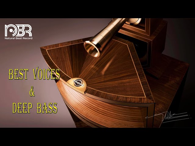 Deep Bass & Best Voices - Hi-Res Music 32 Bit - Audiophile NBR Music