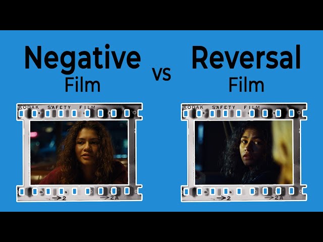 The Difference Between Negative Film And Reversal Film #Shorts