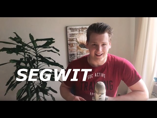 Programmer explains Segregated Witness in Bitcoin and Litecoin