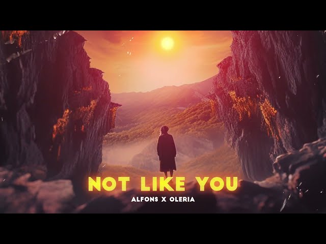 Alfons - Not Like You (feat. Oleria)