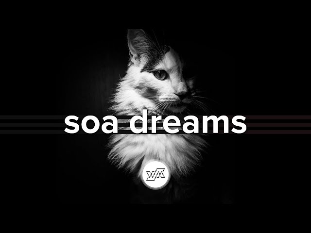 Soa Dreams - Katt og Fugi (Dub Techno - Wejustman Records)