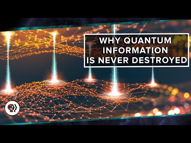 Why Quantum Information is Never Destroyed