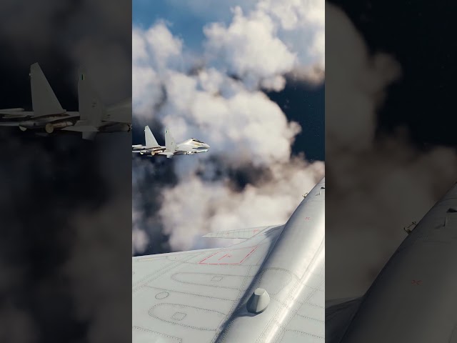 Su-30 Formation Barrel Roll | DCS