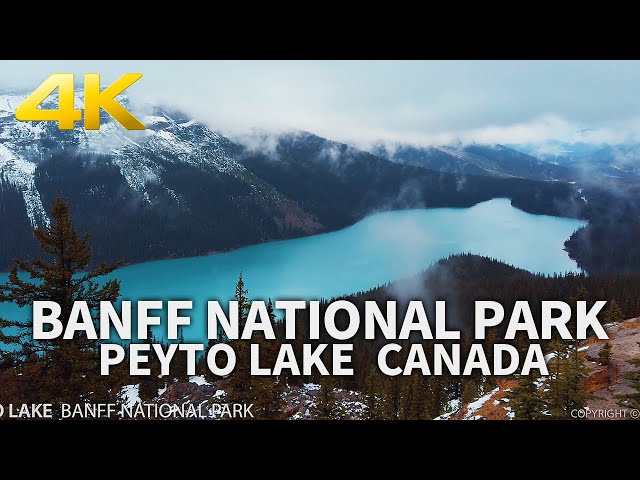 BANFF NATIONAL PARK - Peyto Lake, Alberta, CANADA, Travel, 4K UHD