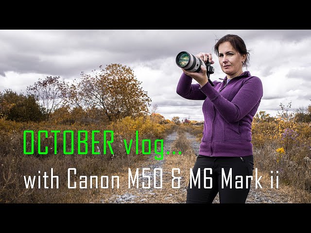 Photography and Video with Canon M50 & M6 Mark II  OCTOBER Road Trip  VLOG