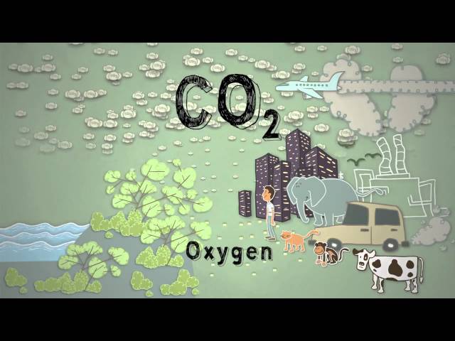 Climate Science in a Nutshell #4: Too Much Carbon Dioxide