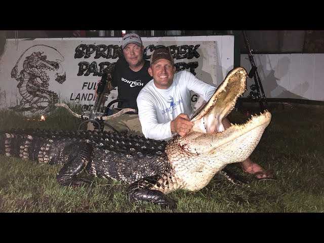 Massive Alligator {HUNT CLEAN COOK} Complete Video! GOURMET!!!