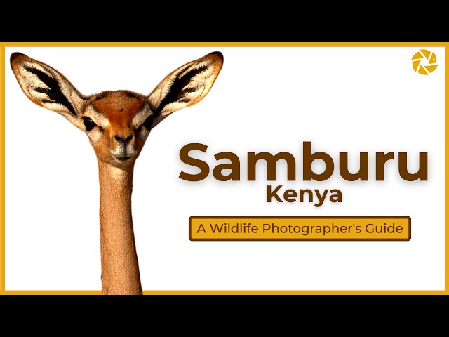 Samburu - A Wildlife Photographer's Guide.