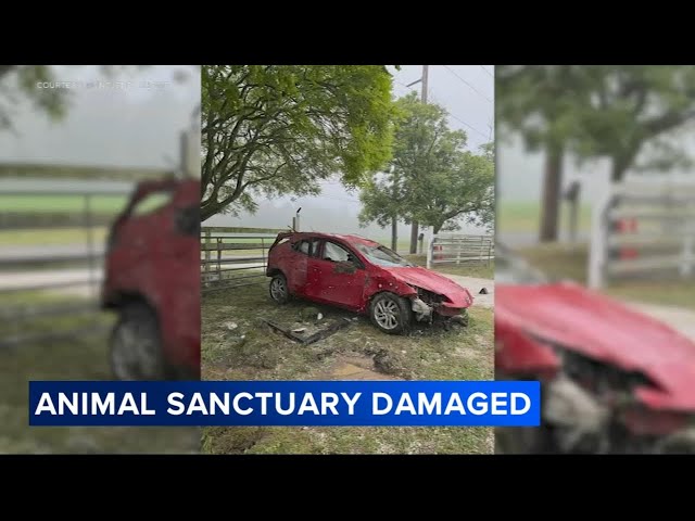 Violent crash leaves South Jersey animal sanctuary in ruins and owners seeking justice