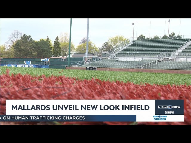 Mallards roll out new turf infield for 2024 season