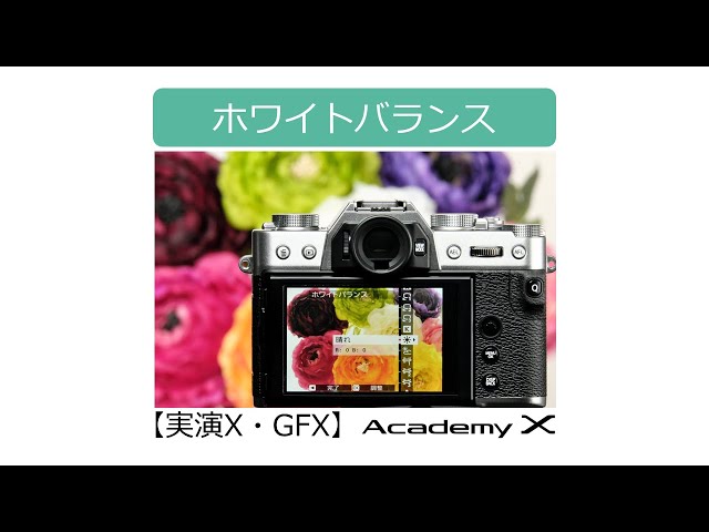 【実演X・GFX】『ホワイトバランス』Academy X／富士フイルム