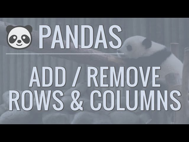 Python Pandas Tutorial (Part 6): Add/Remove Rows and Columns From DataFrames
