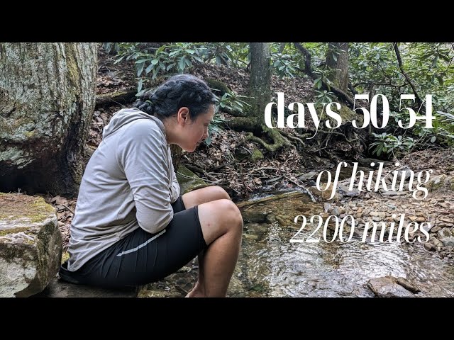 spring is coming! + first bear encounter | days 50-54 of thru hiking the Appalachian Trail
