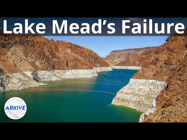 The Real Reason Lake Mead is Drying Up