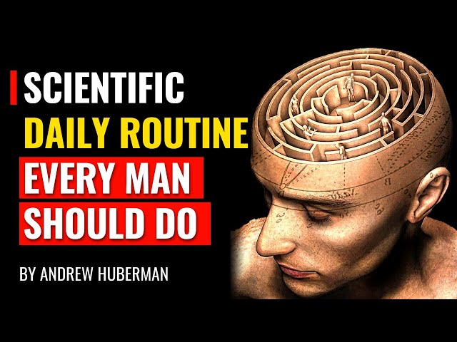 Scientific Daily Routine Every Man Should Do - Andrew huberman