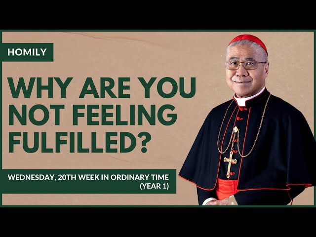 Why Are You Not Feeling Fulfilled? - William Cardinal Goh (Homily - 23 Aug 2023)
