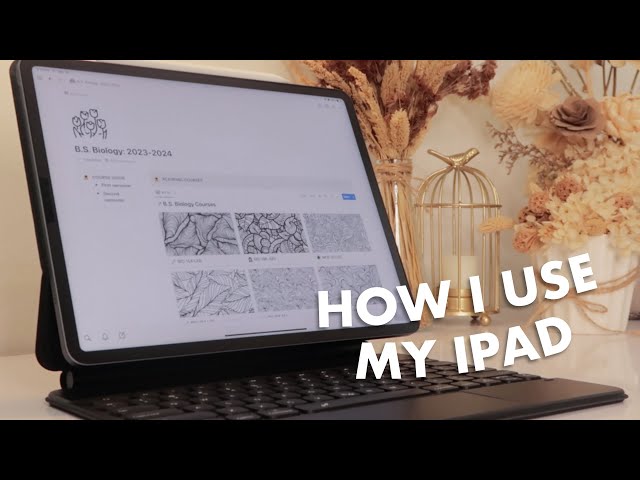 how i use my ipad as a student 📝 note-taking, productivity, flashcards, second display, and more!
