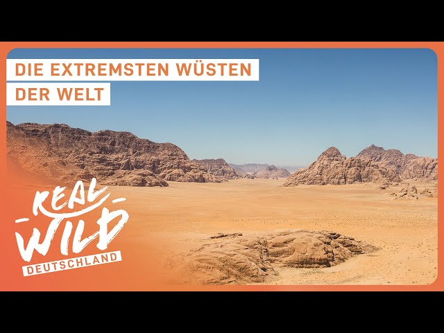 Spezialdoku: Die spektakulärsten Wüsten | Real Wild Deutschland