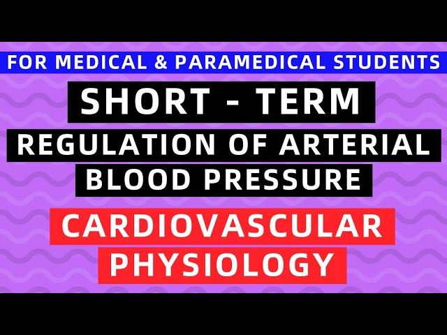SHORT-TERM REGULATION OF BLOOD PRESSURE | CARDIOVASCULAR PHYSIOLOGY