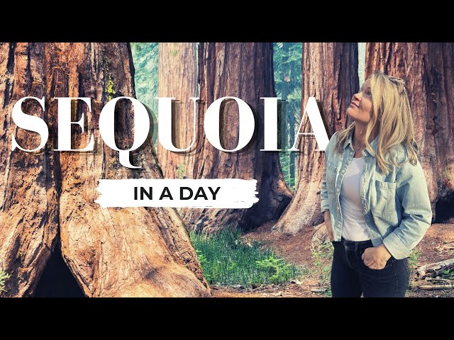 Alone... in Sequoia National Park & 5 RV Scenic Drives