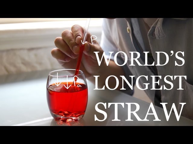 World's Longest Straw